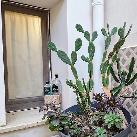 Apartman Living Bouganville Trapani