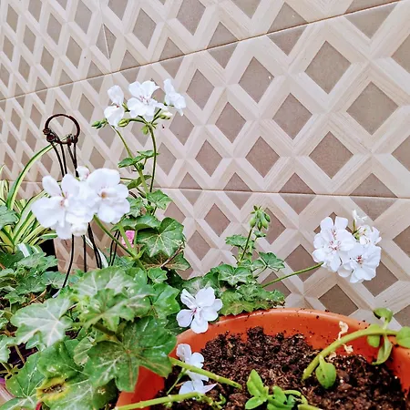 Apartmán Living Bouganville Trapani