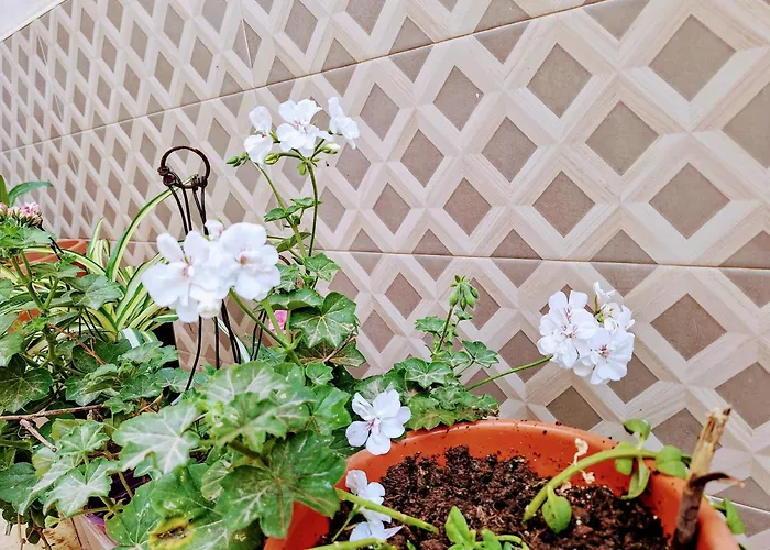 Apartmán Living Bouganville Trapani